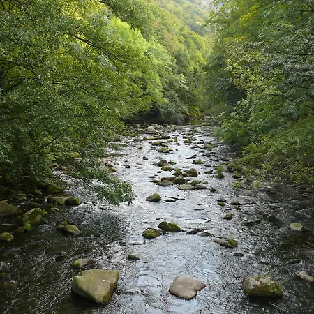 Lägenhet Rosenburg Thale